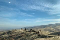 204d59df-f541-4654-91cd-7d23bb9ef4bb